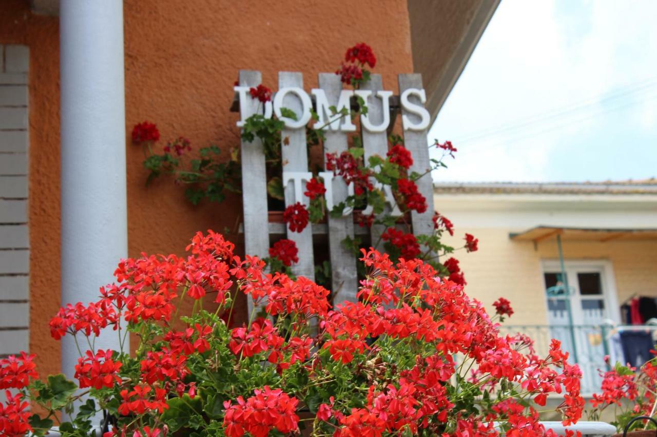 Domus Tua Bed & Breakfast Pietrelcina Ngoại thất bức ảnh